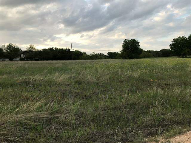 19093 White Bluff Drive, Whitney, TX 76692 - View 2