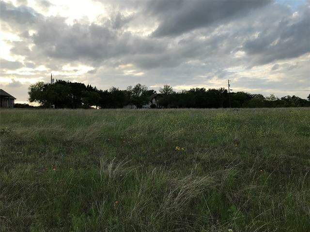 19093 White Bluff Drive, Whitney, TX 76692 - View 3