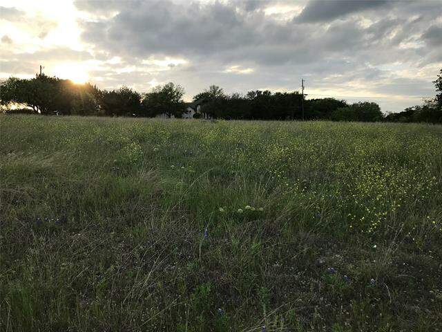 19093 White Bluff Drive, Whitney, TX 76692 - View 5