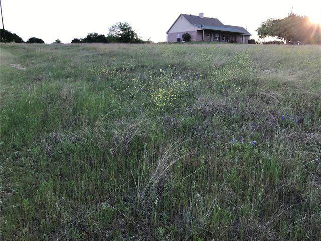 19093 White Bluff Drive, Whitney, TX 76692 - More