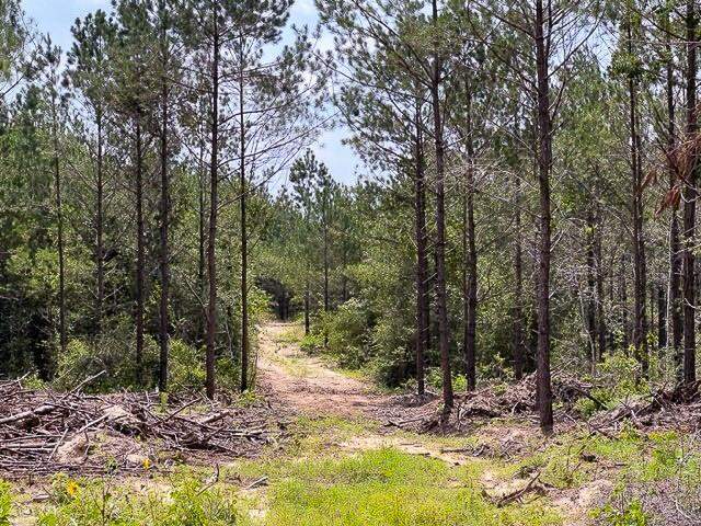 00 Fm 92, Colmesneil, TX 75938 - View 2