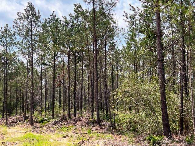 00 Fm 92, Colmesneil, TX 75938 - View 3