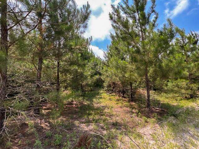 00 Fm 92, Colmesneil, TX 75938 - View 4