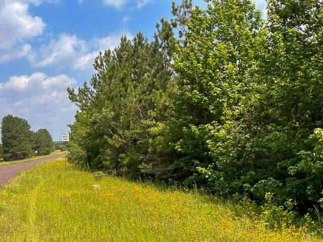 00 Fm 92, Colmesneil, TX 75938 - View 5