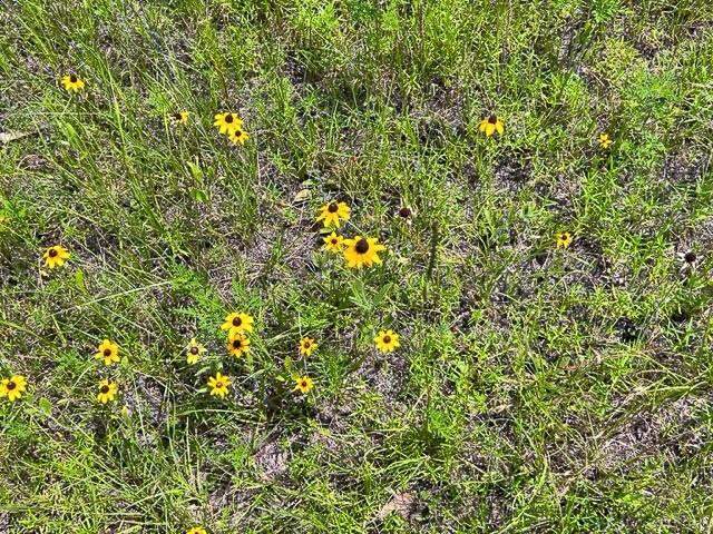 00 Fm 92, Colmesneil, TX 75938 - View 6
