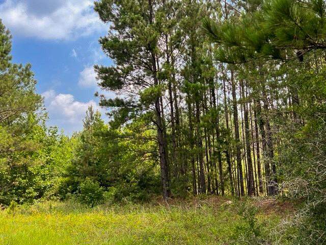 00 Fm 92, Colmesneil, TX 75938 - More