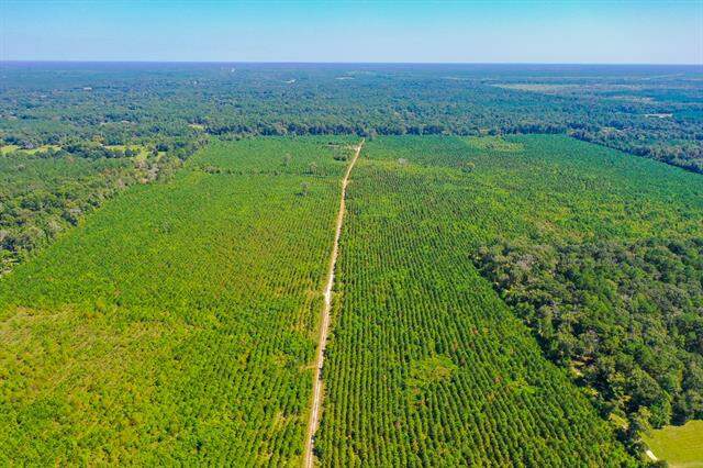 000 Fm 1010, Cleveland, TX 77327 - View 2