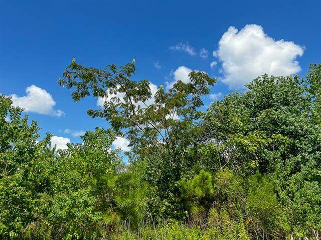 000 Fm 1010, Cleveland, TX 77327 - View 4