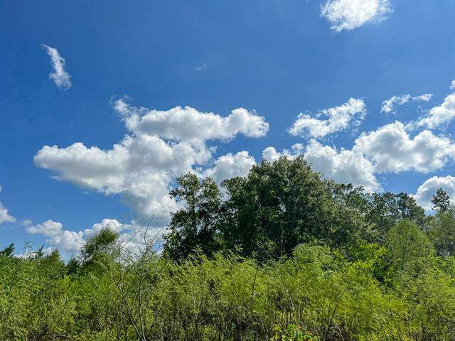 000 Fm 1010, Cleveland, TX 77327 - View 5