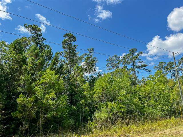 000 Fm 1010, Cleveland, TX 77327 - More