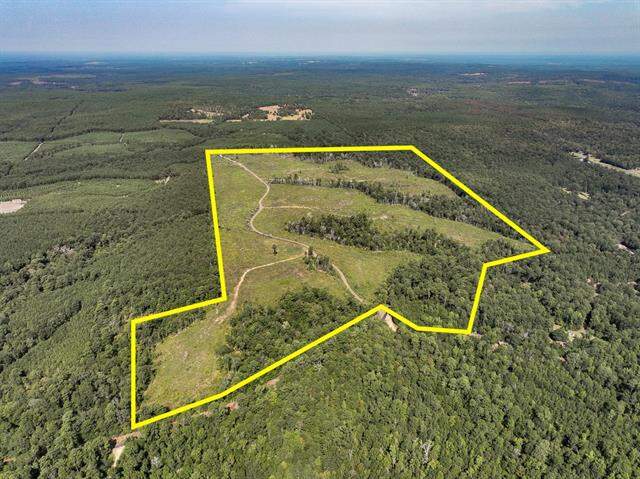 1 County Road 3725, Colmesneil, TX 75938, Colmesneil