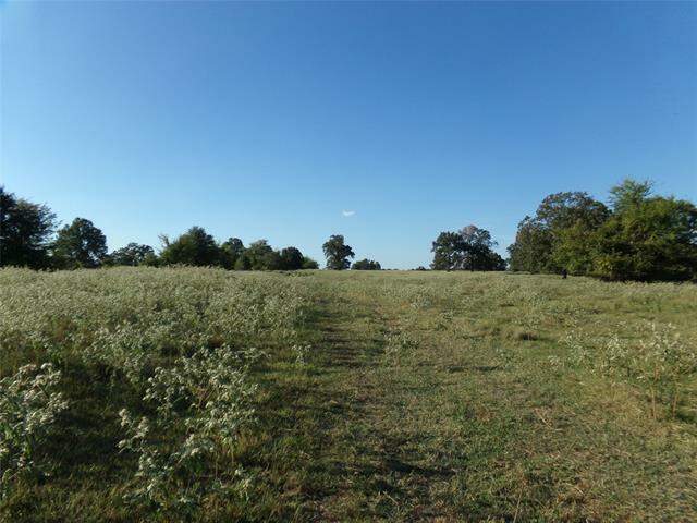 1753 Fm 194, Blossom, TX 75416, Blossom