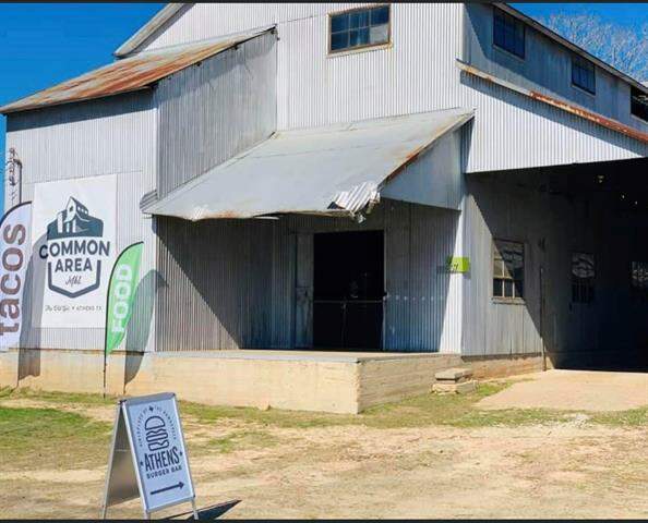 307 E Larkin Street, Athens, TX 75751, Athens