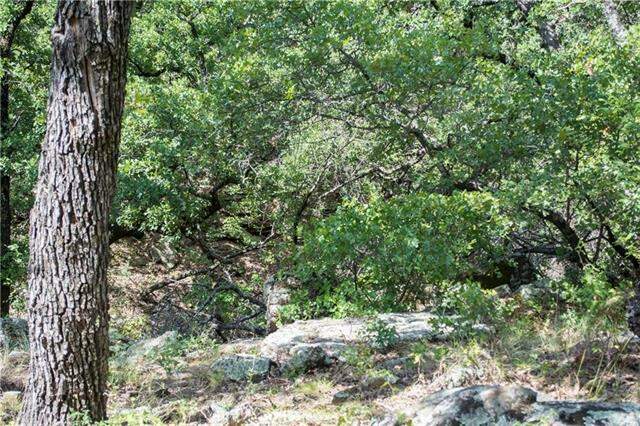 E48 Arts Way, Gordon, TX 76453 - View 6
