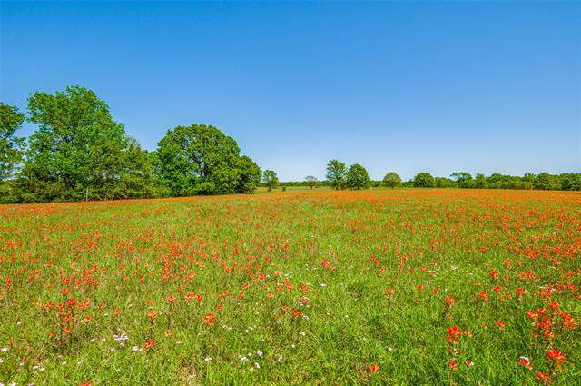 Lot 44 Paradise Cov, Streetman, TX 75859, Streetman