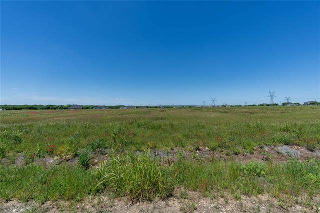 7257 Tom Trail, Krum, TX 76249 - View 6
