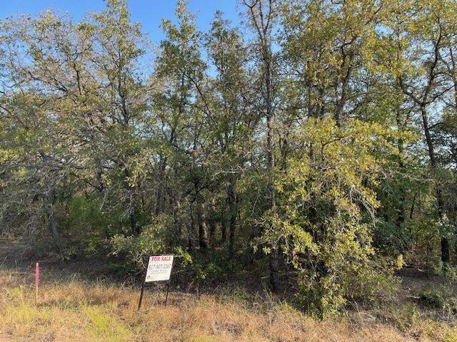 TBD Comewell Court, Runaway Bay, TX 76426, Runaway Bay