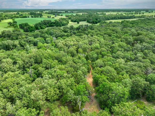 950 Vz County Road 1919, Fruitvale, TX 75127 - View 4