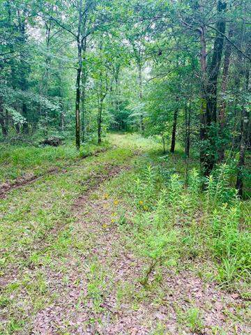 950 Vz County Road 1919, Fruitvale, TX 75127 - View 5