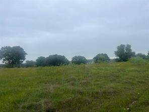 42251 Prestwick Drive, Whitney, TX 76692, Whitney