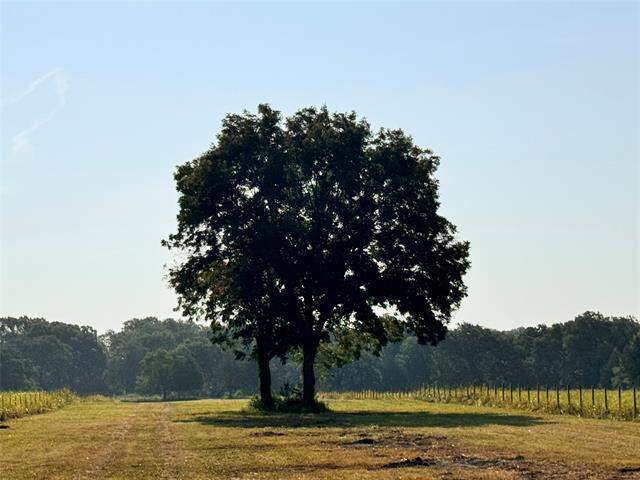 TBD Fm 513, East Tawakoni, TX 75472 - View 3
