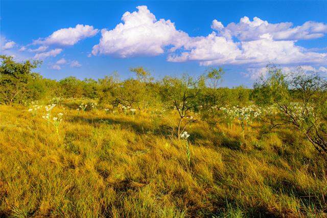130 Mountain Drive, Graford, TX 76449 - View 2