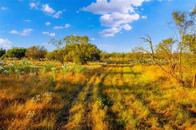 130 Mountain Drive, Graford, TX 76449 - View 3