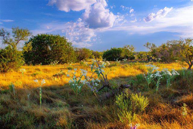 130 Mountain Drive, Graford, TX 76449 - View 4