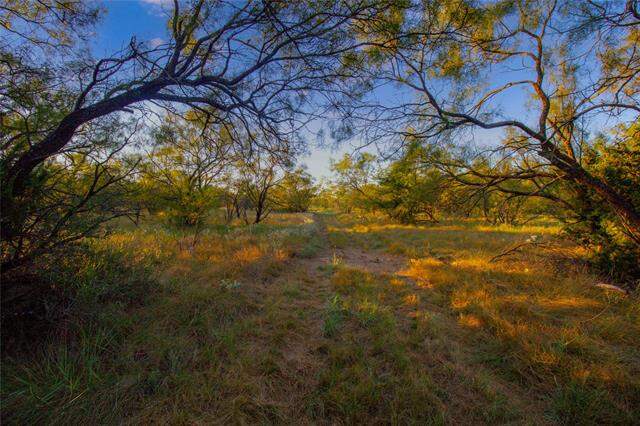 130 Mountain Drive, Graford, TX 76449 - View 5