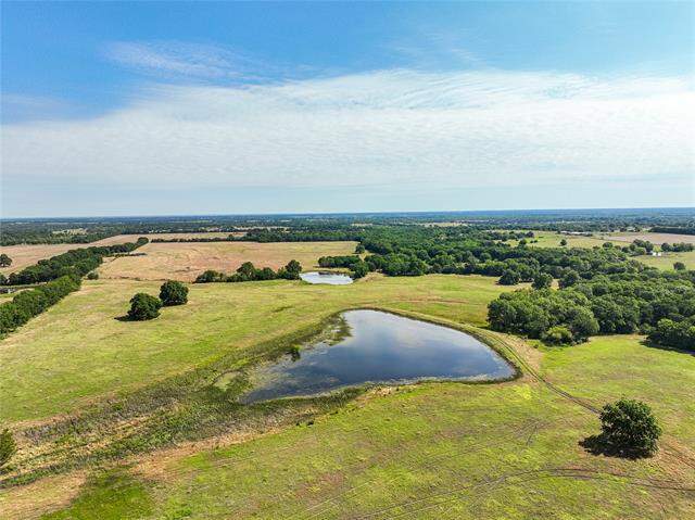 000 County Road 4055, Whitewright, TX 75491 - View 5