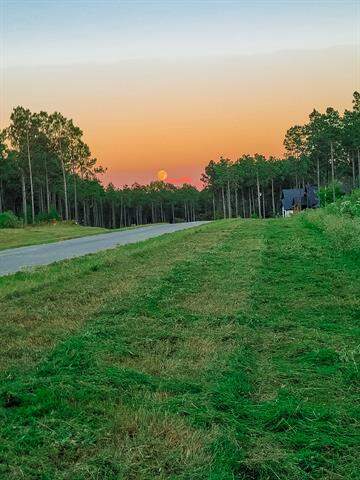 243 Millwood Loop #22, Minden, LA 71055 - More