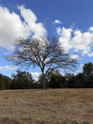 Lot #7 Rs County Road 1150, Emory, TX 75440 - View 3