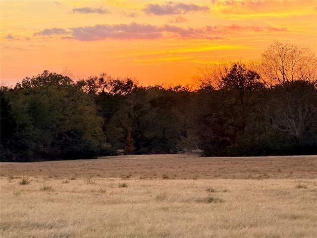 Lot #7 Rs County Road 1150, Emory, TX 75440 - View 4
