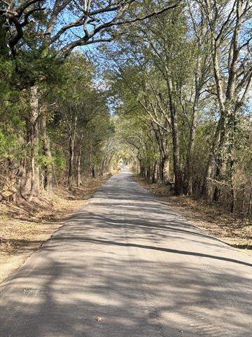 Lot #7 Rs County Road 1150, Emory, TX 75440 - View 5