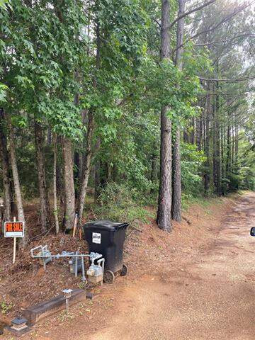 000 Old Plain Dealing Rd, Plain Dealing, LA 71064 - View 3