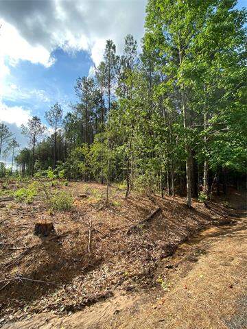 000 Old Plain Dealing Rd, Plain Dealing, LA 71064 - View 4