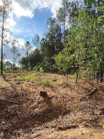 000 Old Plain Dealing Rd, Plain Dealing, LA 71064 - More