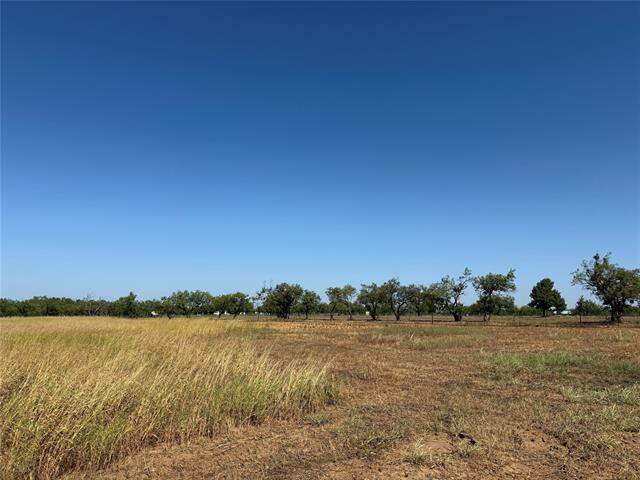 Tract 3 Greenfield Rd, Abilene, TX 79602 - View 2
