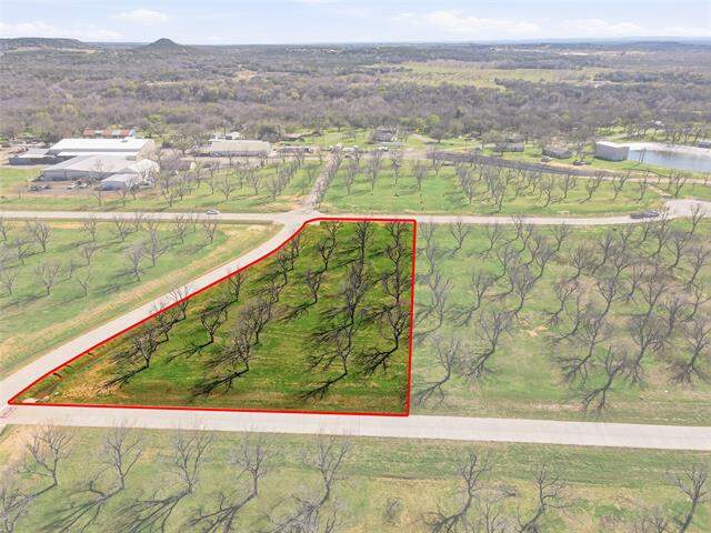 1730 Cirrus Loop, Granbury, TX 76049 - View 4