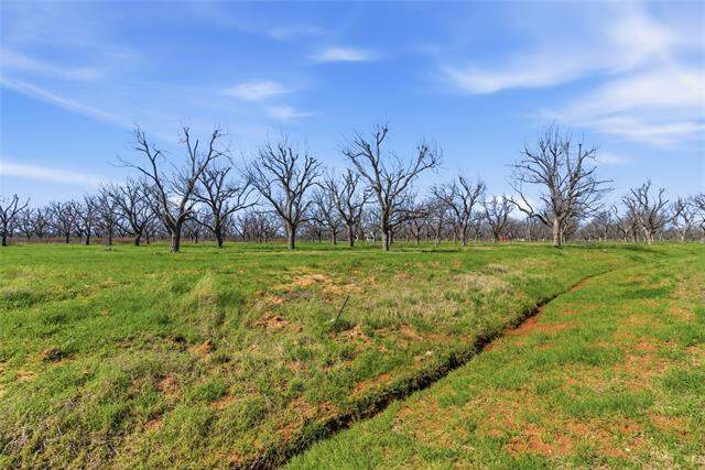 1730 Cirrus Loop, Granbury, TX 76049 - View 5
