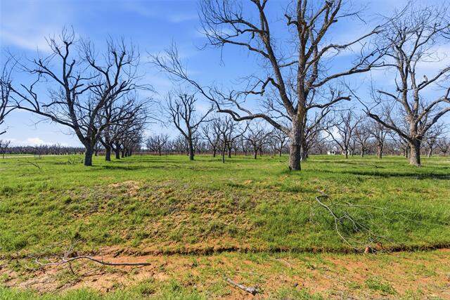 1730 Cirrus Loop, Granbury, TX 76049 - View 6
