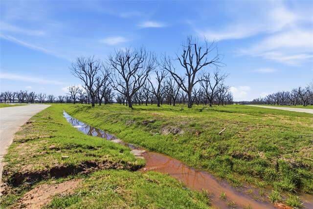 1730 Cirrus Loop, Granbury, TX 76049 - More