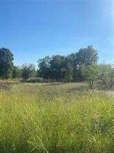 Lot 102 Brookview Court, Bridgeport, TX 76426, Bridgeport