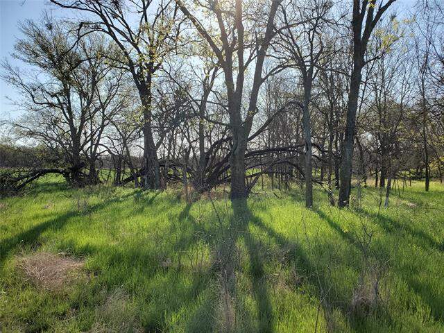 112 Hcr-2221, Aquilla, TX 76622 - View 2