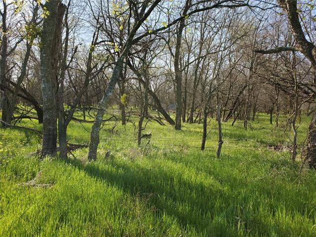 112 Hcr-2221, Aquilla, TX 76622 - View 3