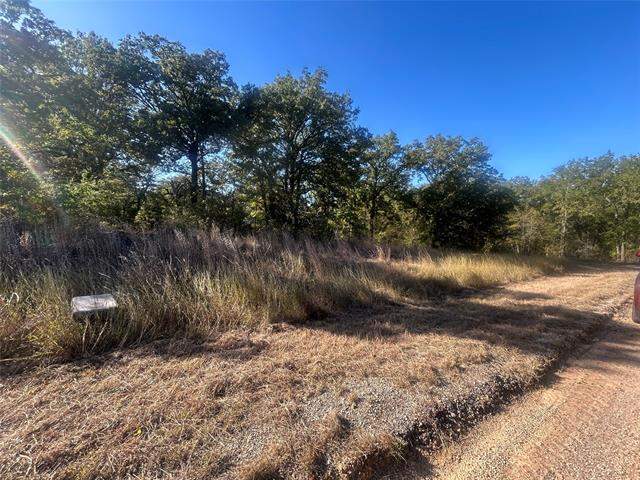 58 Point Lavista, Malakoff, TX 75148 - View 2