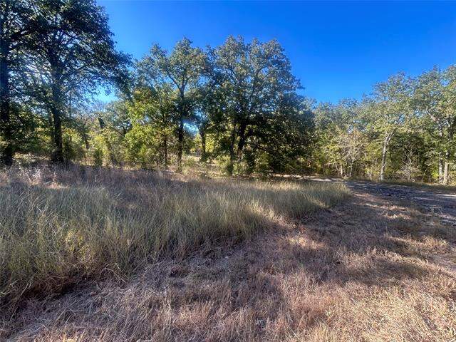 58 Point Lavista, Malakoff, TX 75148 - View 3