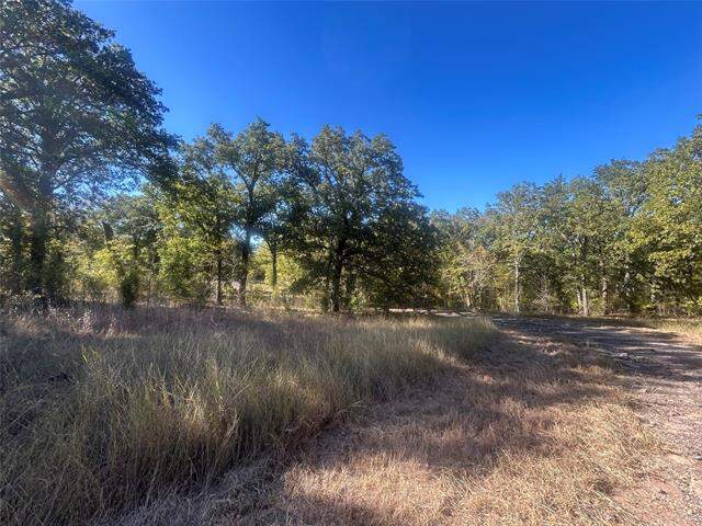 58 Point Lavista, Malakoff, TX 75148 - View 4