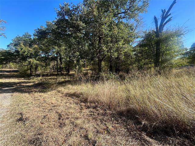 58 Point Lavista, Malakoff, TX 75148 - View 5