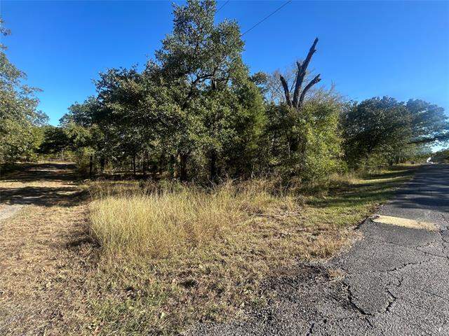 58 Point Lavista, Malakoff, TX 75148 - View 6